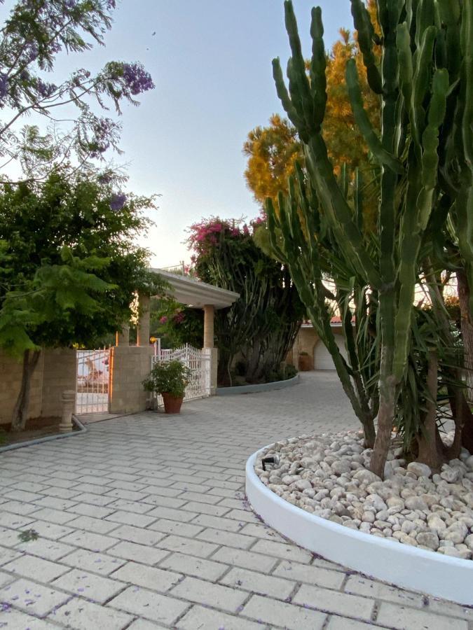 Nostrana Village Apartments Koskinou  Buitenkant foto