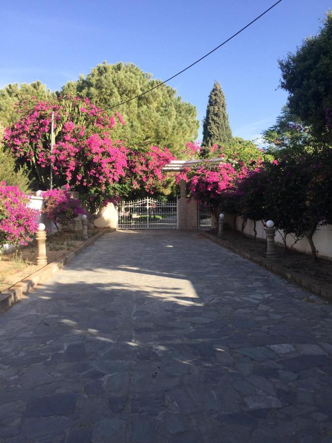 Nostrana Village Apartments Koskinou  Buitenkant foto